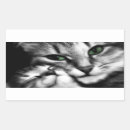 Search for affection stickers Cats