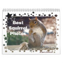 Search for funny squirrel calendars Wildlife