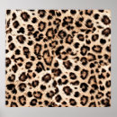 Search for wild africa posters Leopard