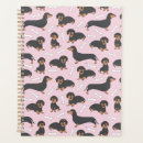 Search for dachshund office supplies Cute