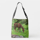 Search for equine bags Pasture