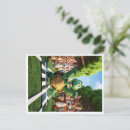 Search for winners postcards Nature