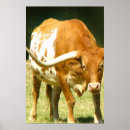 Search for longhorn posters Western