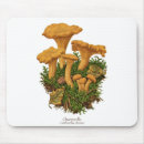 Search for mushroom mousepads Fungi