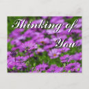 Search for thinking of you postcards Beautiful