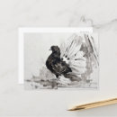 Search for fantail postcards Nature