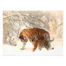 Search for tiger wall posters Cub