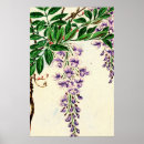 Search for wisteria posters Leaves