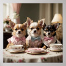 Search for chihuahuas posters Cute
