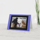 Search for black lab birthday cards Animal