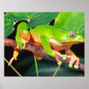 Search for bicolor posters Green