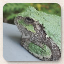Search for amphibians barware Wildlife