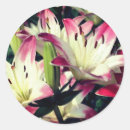 Search for with a smile stickers For her