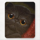 Search for black persian mousepads Cat