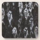 Search for fossil coasters Fish