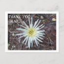 Search for sustainable postcards Nature