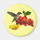 Search for hummer magnets Birds