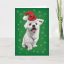 Search for maltese christmas cards Cute