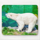 Search for polar bear mousepads Arctic