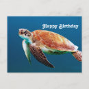 Search for swim birthday cards Water
