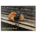 Search for cat chopping boards Nature