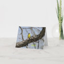 Search for hello greeting photography Birds