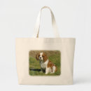 Search for purebreed accessories Canine