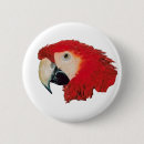 Search for macaw badges Animals