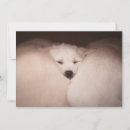 Search for golden retriever thank you cards Cute