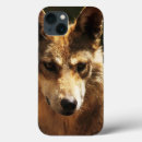 Search for wild wolf iphone cases Dog