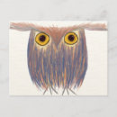 Search for colourful bird art postcards Owl