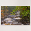 Search for appalachian trail puzzles Forest