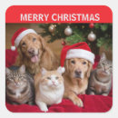Search for candy cane square stickers Children