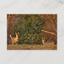 Search for whitetail deer business cards Nature