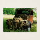 Search for aceos Photography