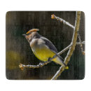 Search for photo chopping boards Dog