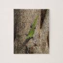 Search for gecko puzzles Nature