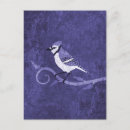 Search for curled postcards Animals
