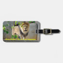 Search for photo travel accessories Cat