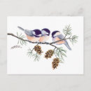 Search for sharp postcards Wildlife
