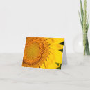 Search for closed cards Summer