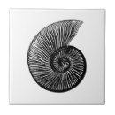 Search for fossil tiles Paleontology
