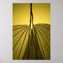 Search for biology art Plant