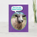Search for comical sheep Birthday