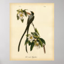 Search for forks posters Vintage