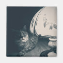 Search for lamp magnets Cat