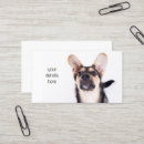 Search for pet portrait business cards Mammal