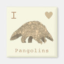 Search for endangered animals Cute