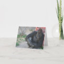Search for gorilla thank you cards Animal