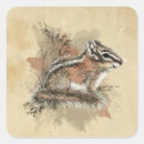 Search for cute chipmunk stickers Nature